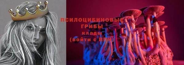 эйфоретик Баксан