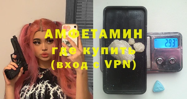 амф Вяземский
